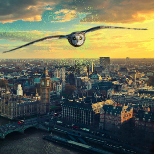 LOCKED Adventures Der magische Fall 2